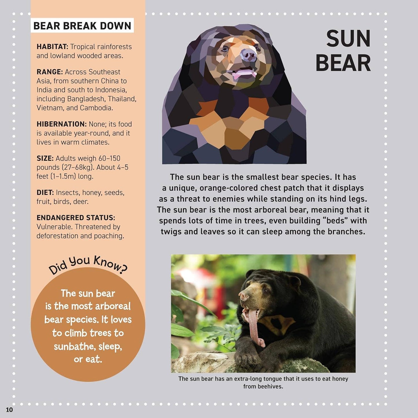 My Sticker Paintings: Bears
