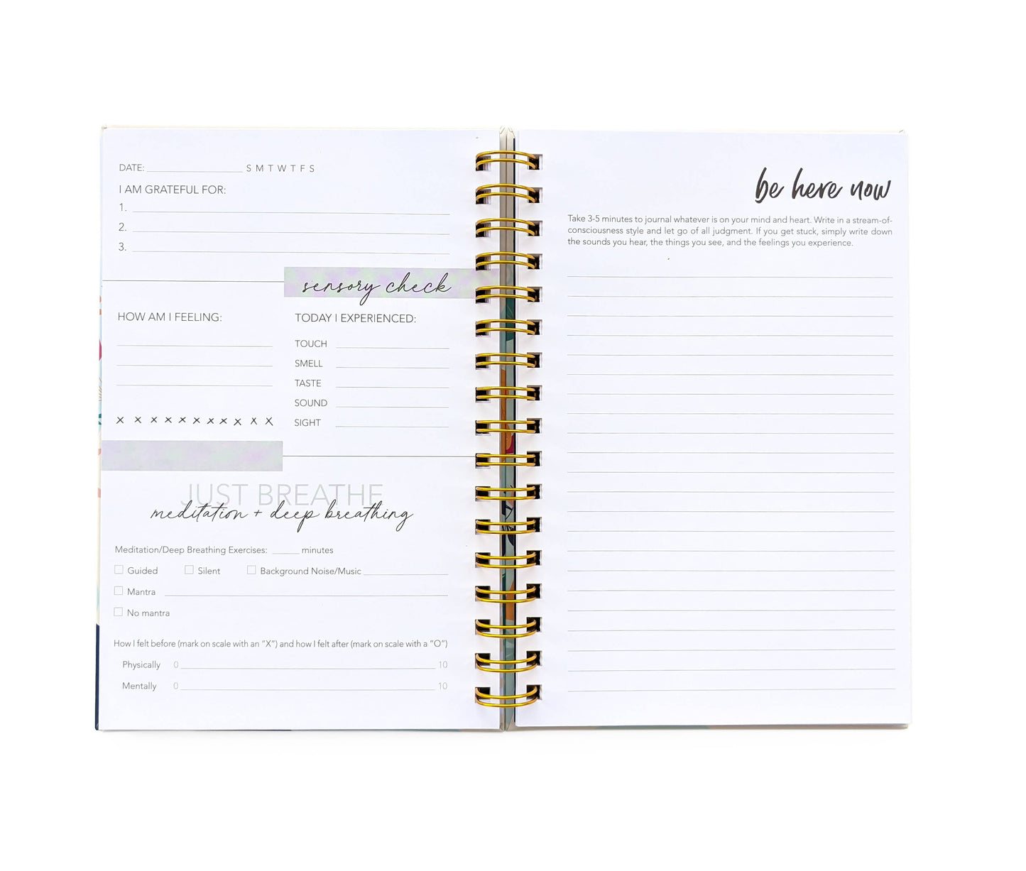 Mindfulness Journal