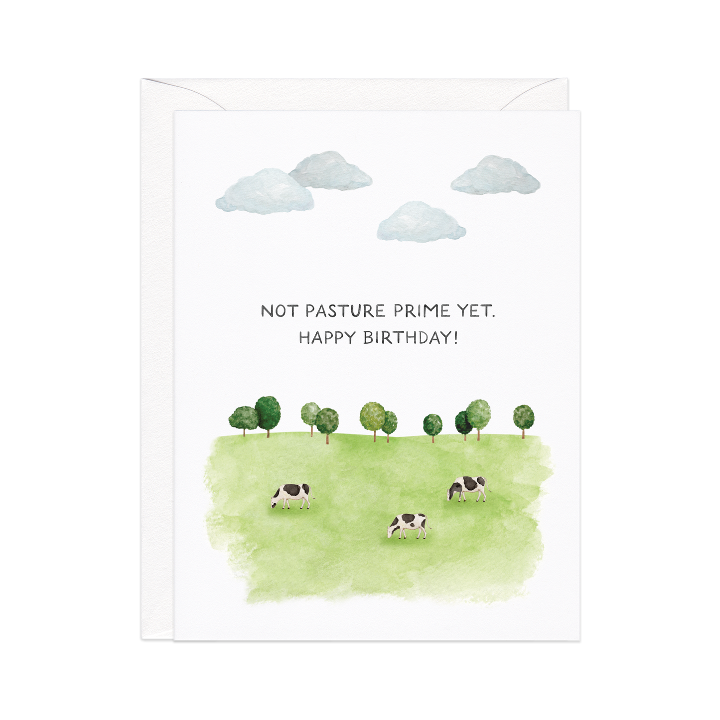 Not Past Your Prime Yet —  Birthday Card