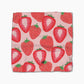 Favorite Fruit Geometry Dishcloth Set