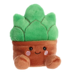 Palm Pal - Gigi Succulent